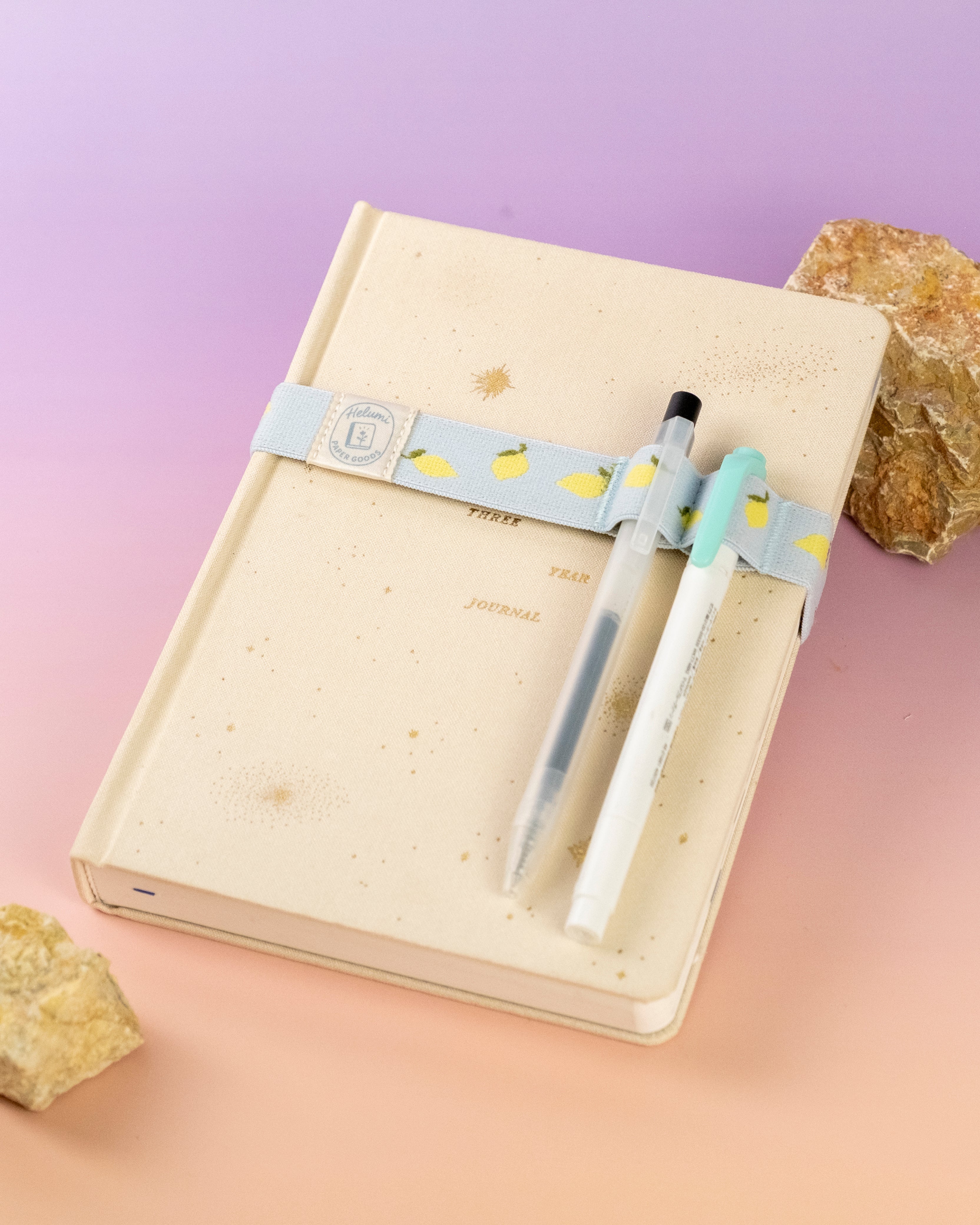 Elastic book bands