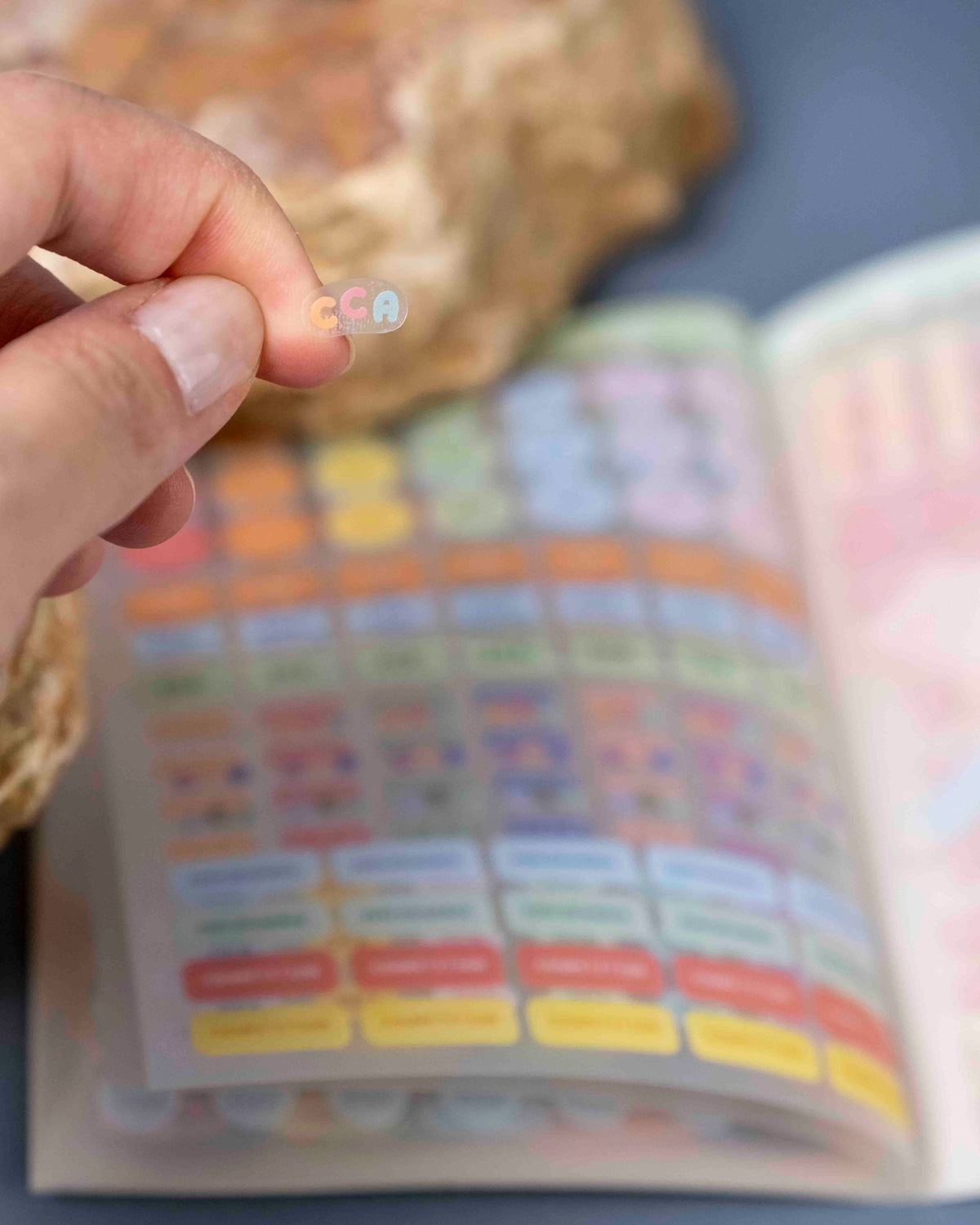 Sticker Book (Student)