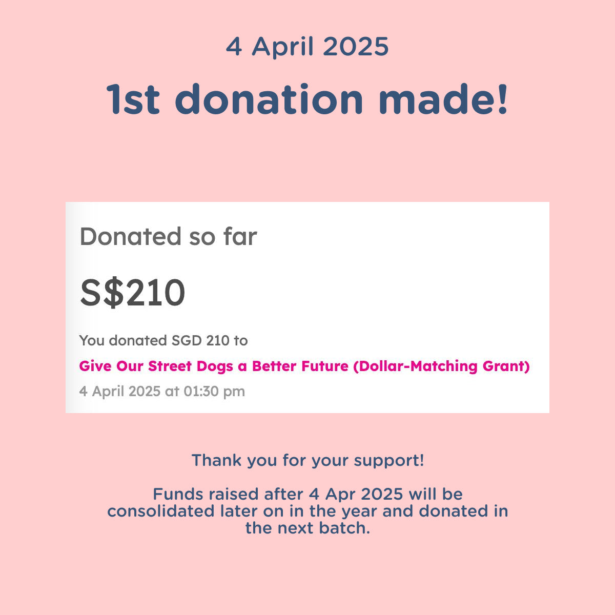 Fund-raising pad for dogs