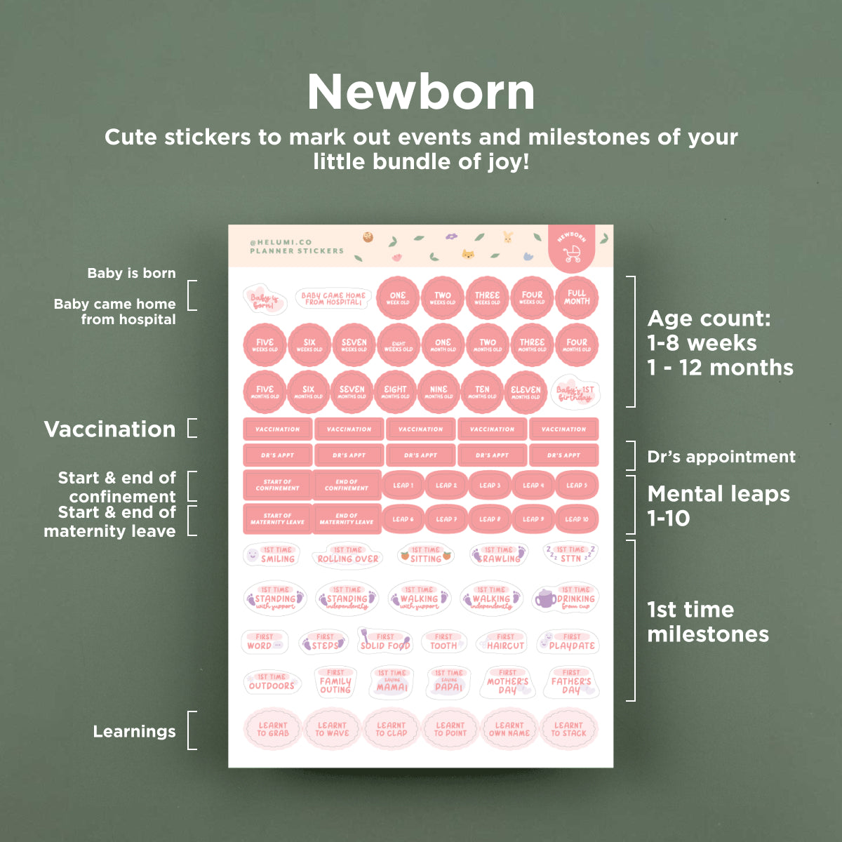 Functional Planner Stickers